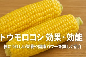 536279207_1337080541758609_2477149385257575932_n