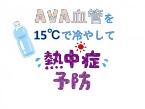 AVAE8A180E7AEA1-1