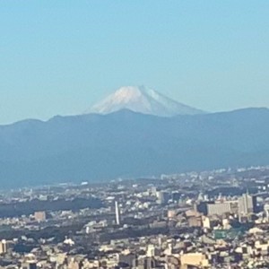 S__110616583_0