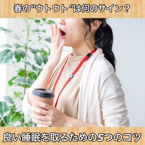 S__115851268_0