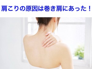 S__117399556