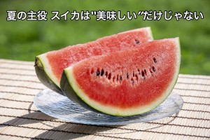 S__123420680